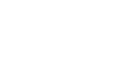 Vision Engineering